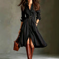 Apollonia - Women's Pinstripe Collared Long Sleeve Shirt Maxi Dress 1